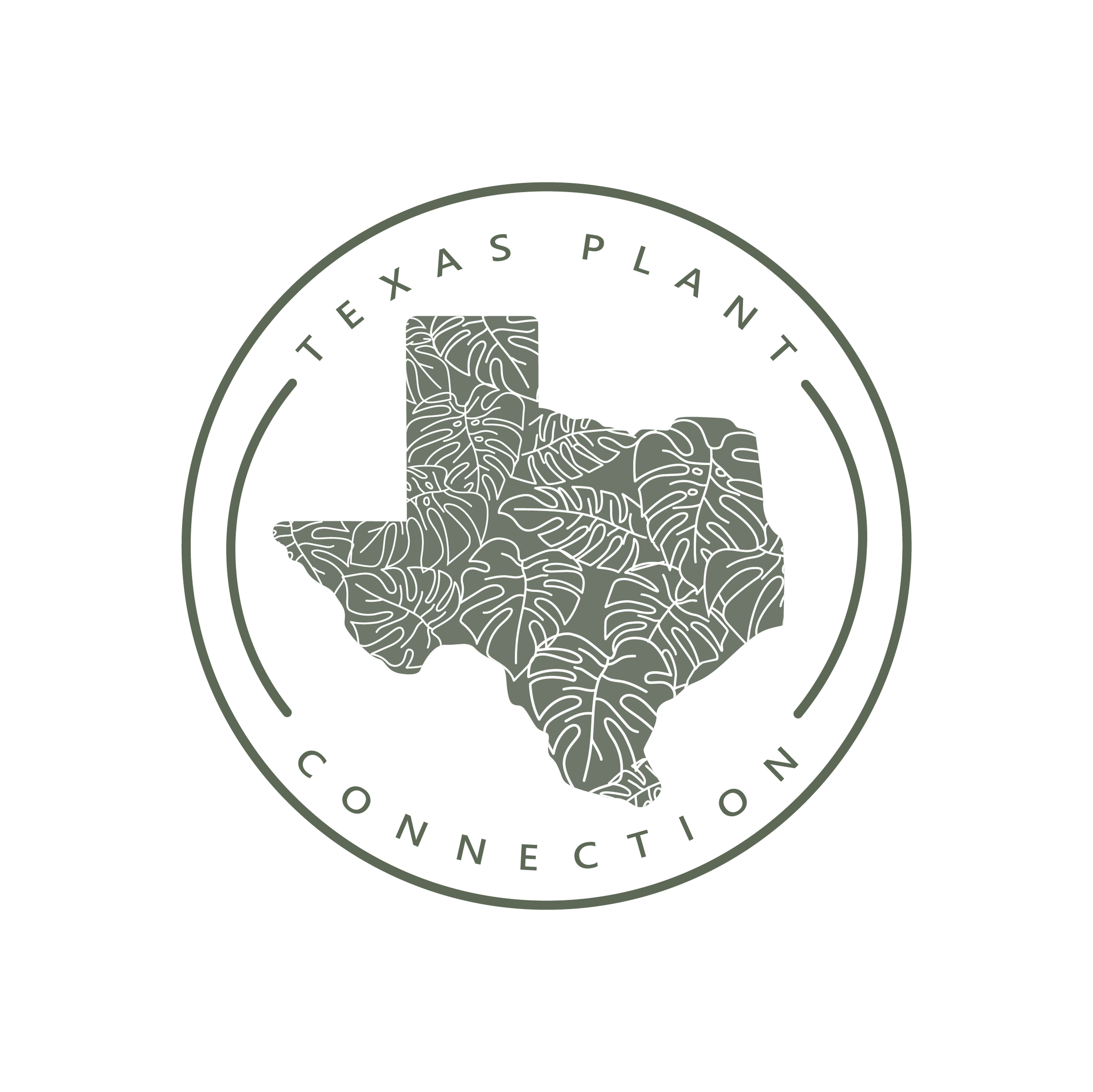 Rare  Texas Plant Connection